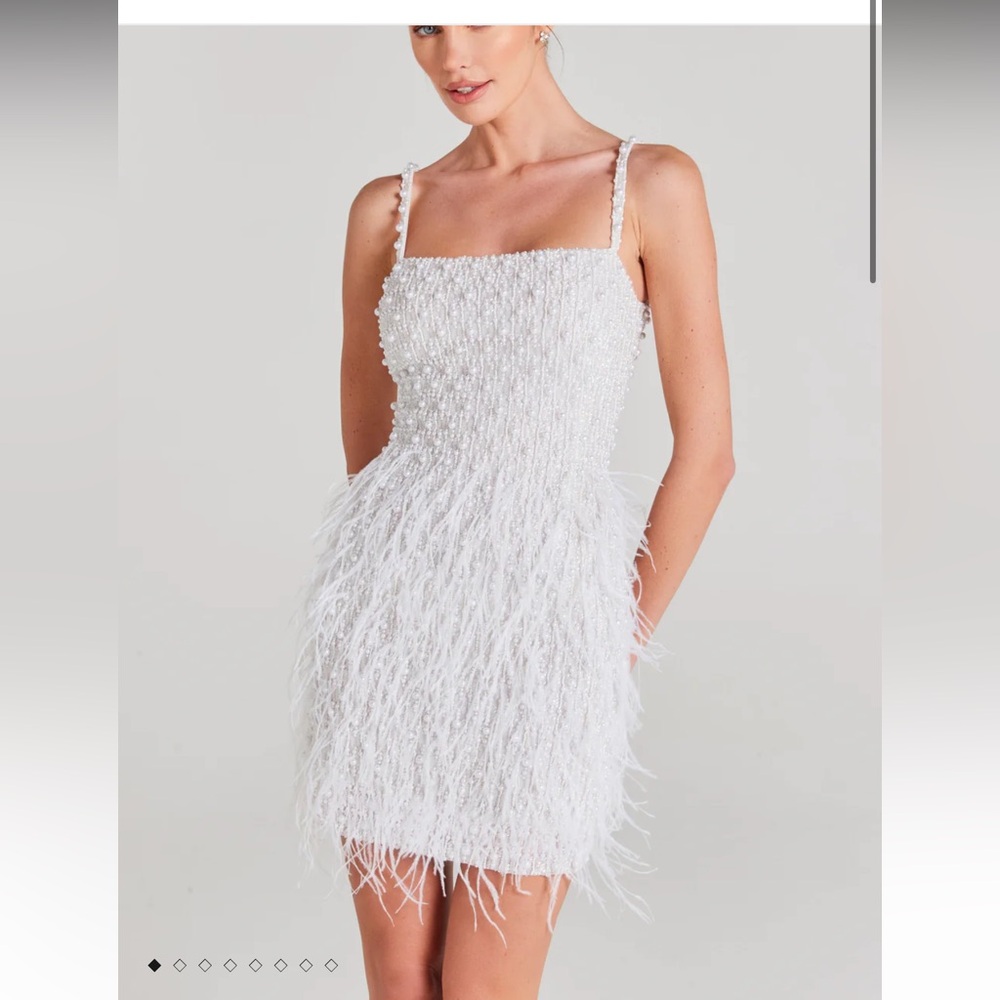 Nadine Merabi Carrie Dress - like new size medium
